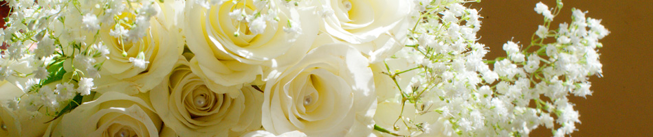 Singer & Pianist - Free Online Quote